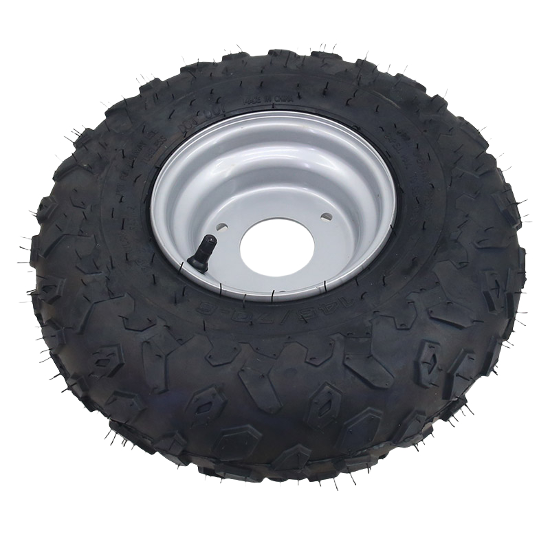 Adatto per modificare i pneuma - Road Bike Tire recensione e prezzo