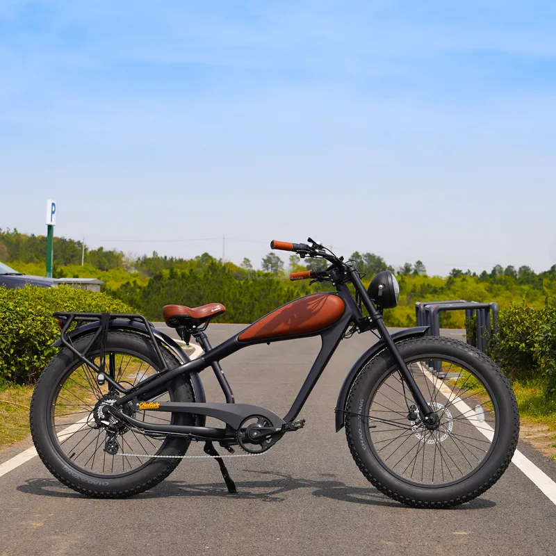 Bici Elettrica Vintage OEM 750 - Road Bike Tire recensione e prezzo
