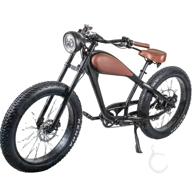Bici Elettrica Vintage OEM 750 - Road Bike Tire recensione e prezzo